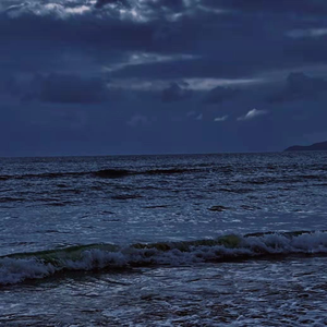 三级三黄三级三黄三级三级
